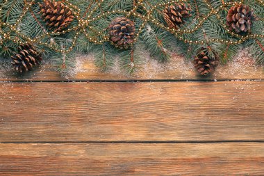 Yılbaşı çam ağacı  