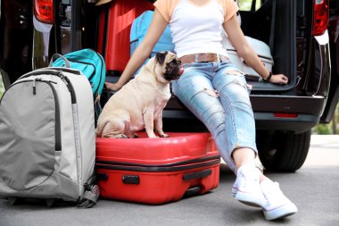 Şirin pug kızla 