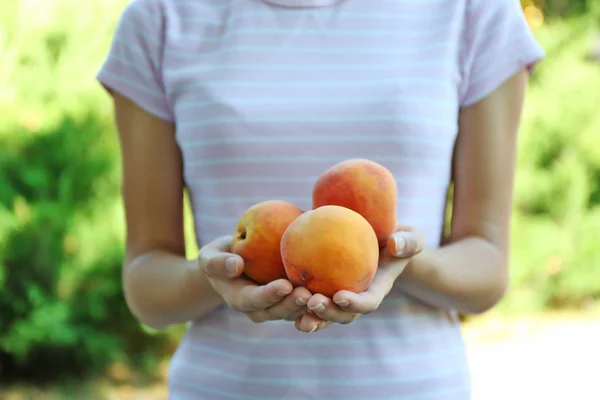 Руки женщины держат свежие персики — стоковое фото