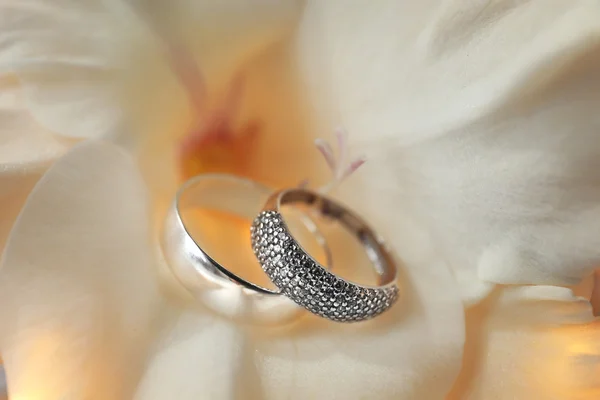 Hermosos anillos de boda — Foto de Stock