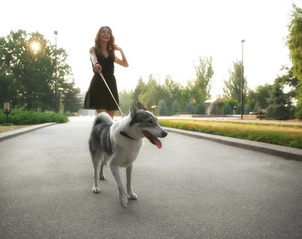 Köpeğiyle gezen kadın. — Stok fotoğraf