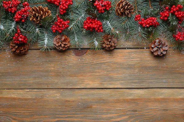 Abete di Natale — Foto Stock