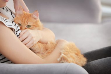Kırmızı kabarık kedi ile sevimli küçük kız 