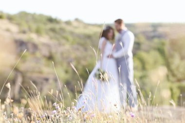 Gelin ve damat ve güzel manzara