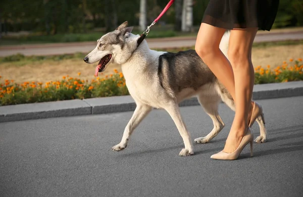 Frau geht mit Hund spazieren — Stockfoto