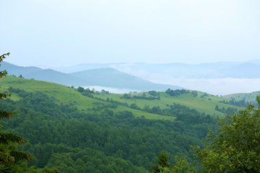 Yazın Karpat Dağları