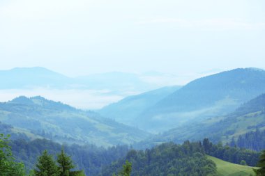 Yazın Karpat Dağları