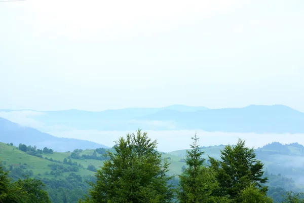 Montagne carpatiche in estate — Foto Stock