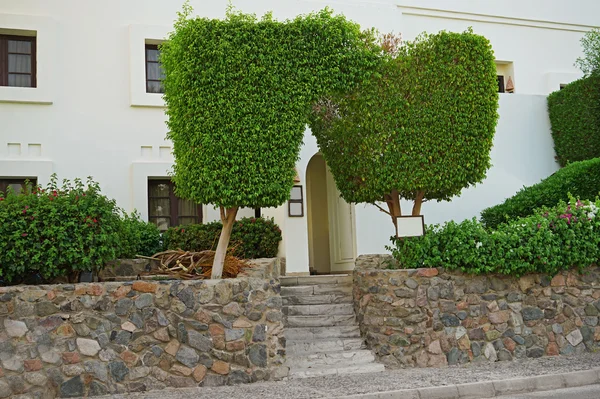 Arch of topiary trees at the entrance to the house — Stock Photo, Image