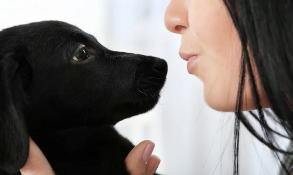 Krásná Dívka Líbání Labrador Closeup — Stock fotografie