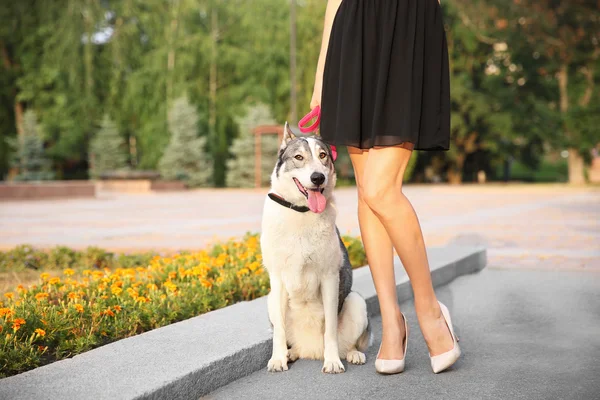 Vrouw wandelen met hond — Stockfoto