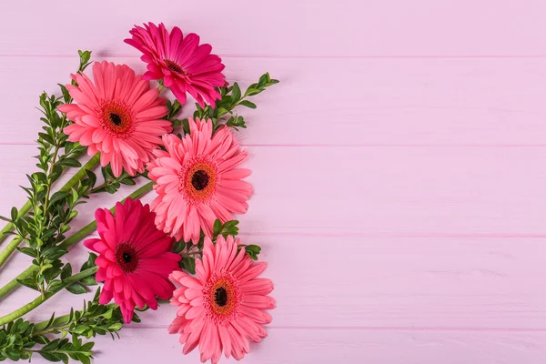 Rosa Gerbera Flores — Fotografia de Stock