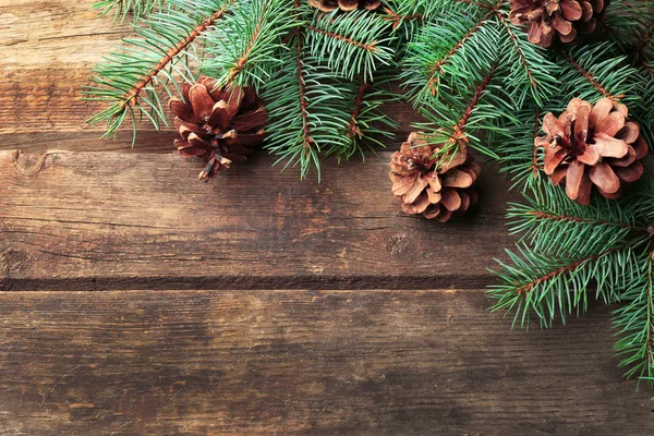 Fir kerstboom — Stockfoto