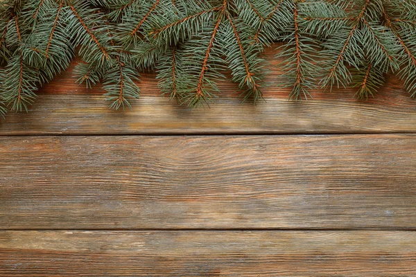 Abeto de Navidad — Foto de Stock