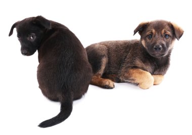 iki komik kukla üzerine beyaz izole