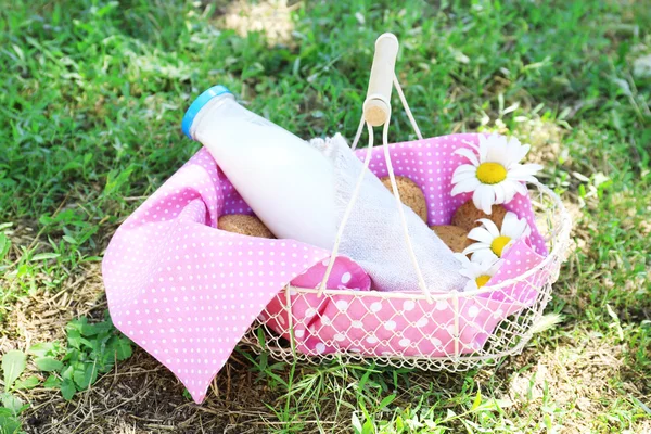 Tasty snack in basket on grassy background for spending nice weekend in a park — Stock Photo, Image