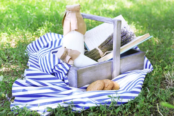 Tasty snack in basket on grassy background for spending nice weekend in a park — Stock Photo, Image