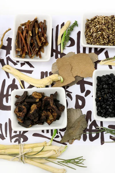 Traditional chinese herbal medicine ingredients on not real hieroglyphs, close-up — Stock Photo, Image