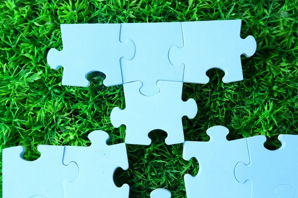 Puzzle pieces on green grass background. Green space concept — Stock Photo, Image