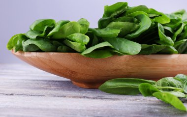 tutam taze kuzukulağı ahşap zemin üzerinde ahşap plaka