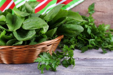 ahşap zemin üzerinde Yuvarlak sepet içinde taze kuzukulağı