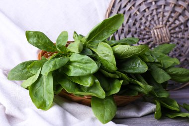 peçete portre üzerinde Yuvarlak sepet içinde taze kuzukulağı