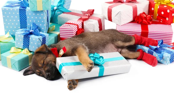 Sleeping puppy and boxes with presents isolated on white — Stock Photo, Image