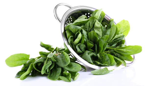 Tuft of fresh sorrel in metal colander isolated on white — Stock Photo, Image