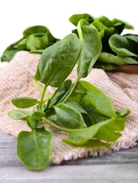 Brunches of fresh sorrel on piece of sacking on grey background — Stock Photo, Image