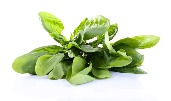 Tuft of fresh sorrel isolated on white — Stock Photo, Image