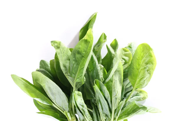 Tuft of fresh sorrel isolated on white — Stock Photo, Image