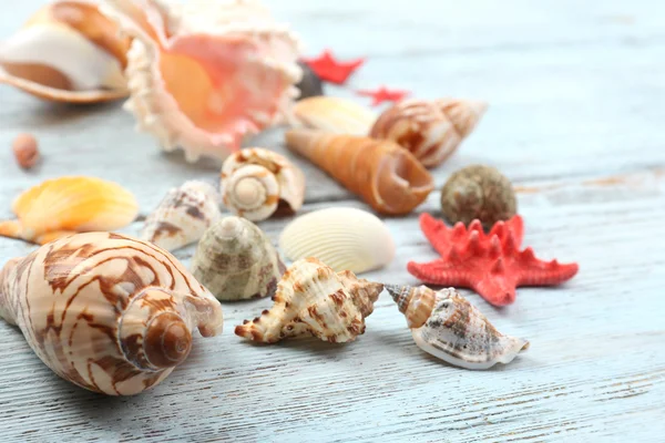 Schelpen op houten tafel, close-up — Stockfoto