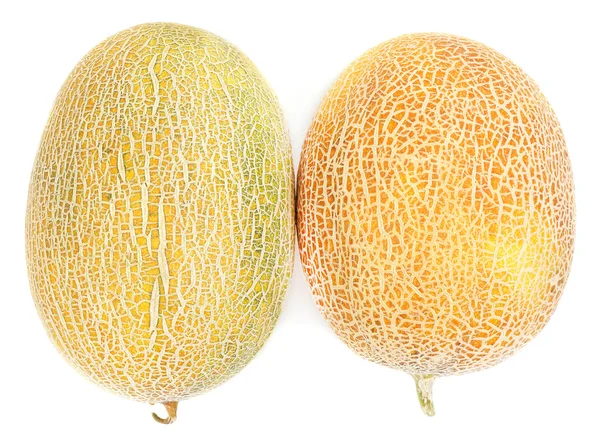 Melons isolated on white — Stock Photo, Image