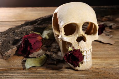 insan kafatası üzerinde ahşap masa, kurutulmuş gül ile yakın çekim