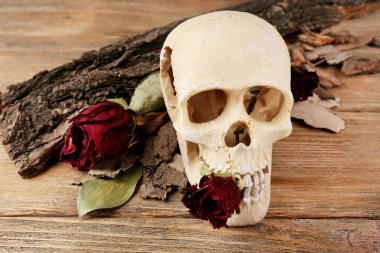 insan kafatası üzerinde ahşap masa, kurutulmuş gül ile yakın çekim