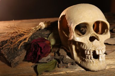 insan kafatası üzerinde ahşap masa, kurutulmuş gül ile yakın çekim