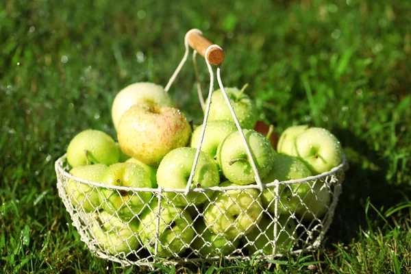 Olgun elma sepeti çimenlerin üzerinde — Stok fotoğraf