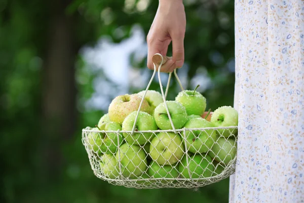 屋外のリンゴのバスケットを持って女の子 — ストック写真