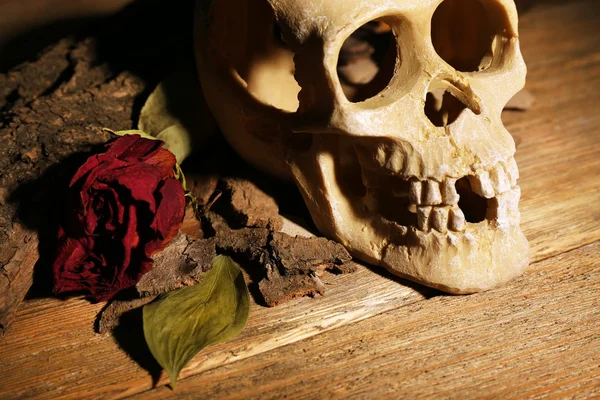 Crânio humano com rosa seca na mesa de madeira, close-up — Fotografia de Stock