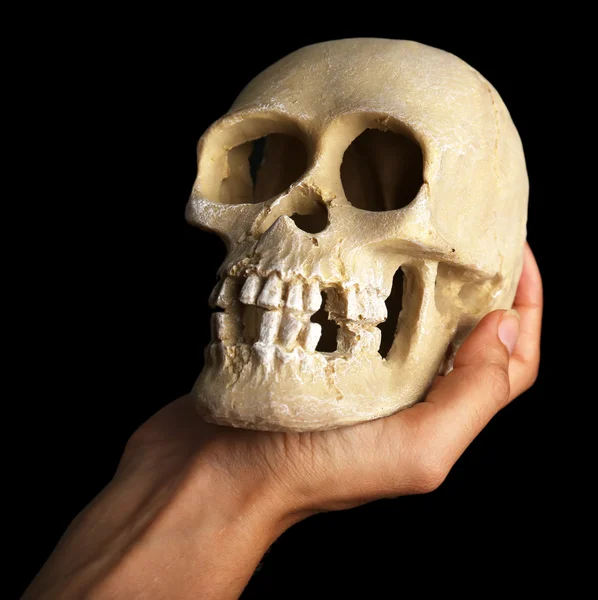 Human skull in hand on dark background — Stock Photo, Image