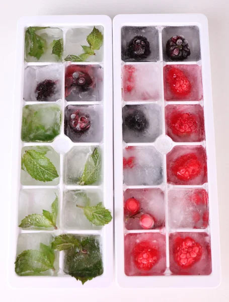 Ice cubes with forest berries, mint leaves in ice tray isolated on white — Stock Photo, Image