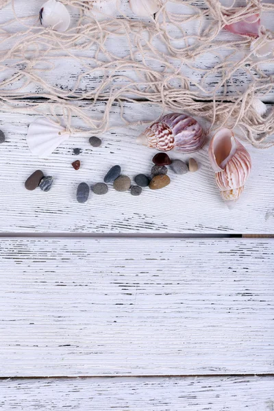 Decor of seashells close-up on blue wooden table — Stock Photo, Image