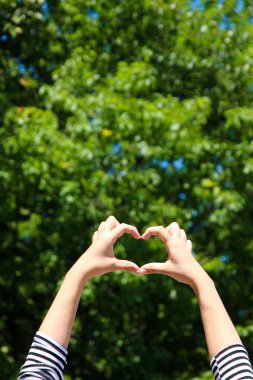 içinde kalp şekli çerçeveleme doğa arka planda tutan genç kız eller
