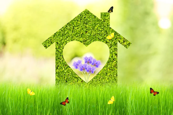 Dream house on nature background — Stock Photo, Image