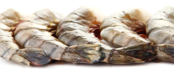 Crevettes savoureuses sur fond blanc isolé — Photo