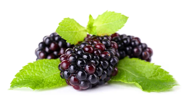 Ripe Blackberries with leaves — Stock Photo, Image