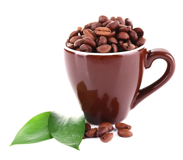 Mug of coffee beans — Stock Photo, Image