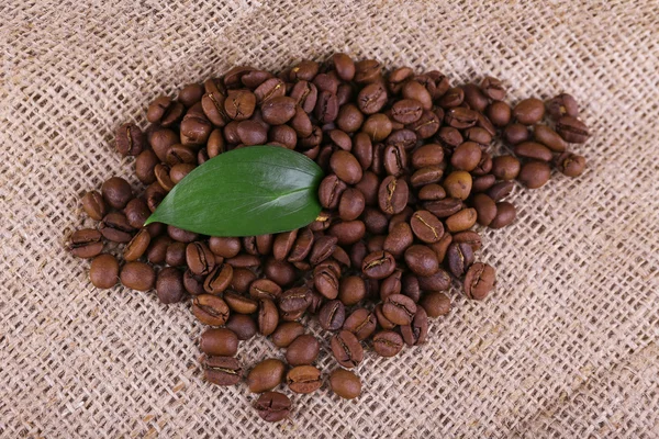 Kávová zrna na vyhození — Stock fotografie
