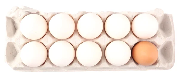 Different eggs in carton pack isolated on white — Stock Photo, Image