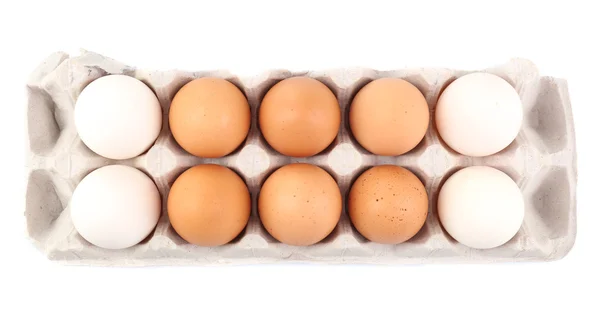 Different eggs in carton pack isolated on white — Stock Photo, Image